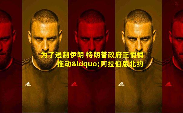 为了遏制伊朗 特朗普政府正悄悄推动“阿拉伯版北约”